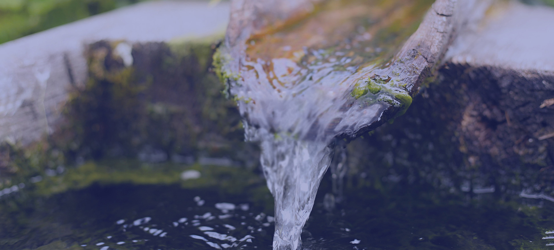 庆祝江苏华旭环保股份有限公司官网正式上线