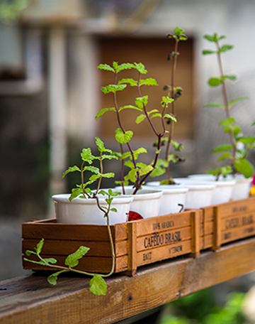 华旭浅析为什么要保护环境？